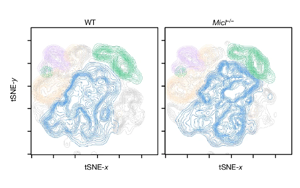 Nature打開了新的大門：一種免疫細(xì)胞調(diào)節(jié)因子可以減少炎癥