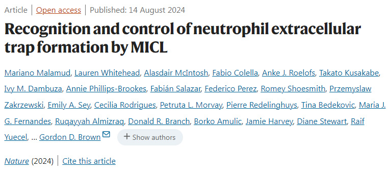 MICL對(duì)中性粒細(xì)胞胞外陷阱形成的識(shí)別和控制
