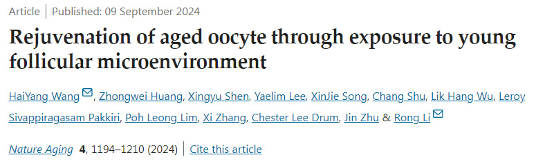 
通過暴露于年輕卵泡微環(huán)境使老年卵母細(xì)胞再生