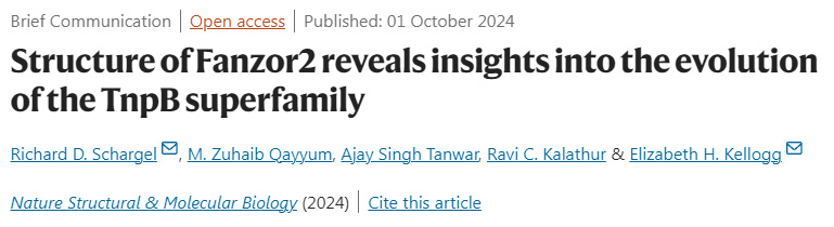 
Fanzor2的結(jié)構(gòu)揭示了TnpB超家族進(jìn)化的見解