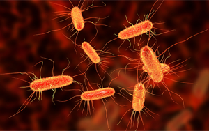 《Nature》腸道中的某些大腸桿菌如何促進(jìn)結(jié)腸癌？