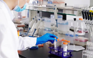 酶免疫測定法（EIA）常用原輔料解析