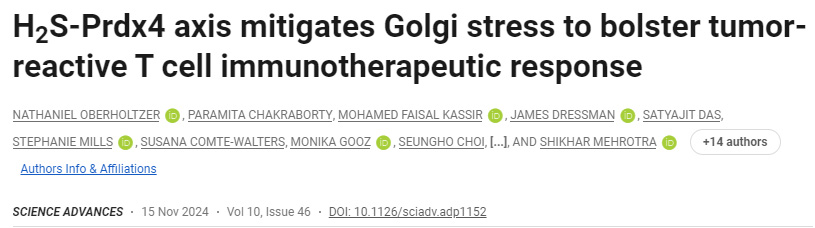 H2S-Prdx4軸減輕高爾基體應激，增強腫瘤反應性T細胞免疫治療反應