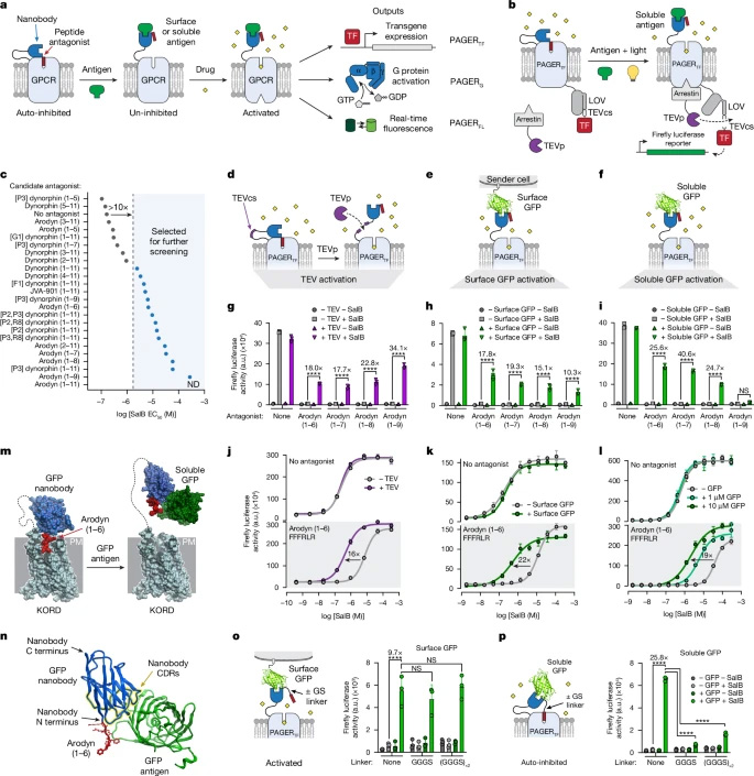 PAGER的設(shè)計(jì)與優(yōu)化
