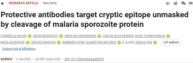 保護性抗體靶向瘧疾子孢子蛋白切割所揭示的隱性表位