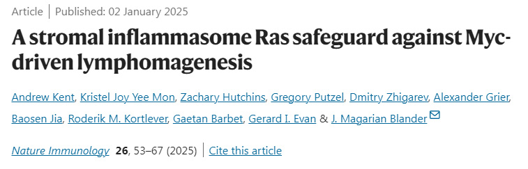 基質炎性小體Ras對Myc驅動的淋巴結生成的保護作用