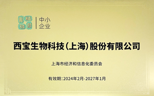 又續(xù)上啦！看我們?nèi)绾尉沓隹萍肌八{海”