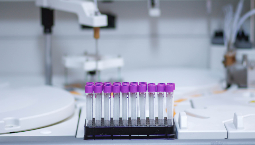 轉(zhuǎn)染試劑