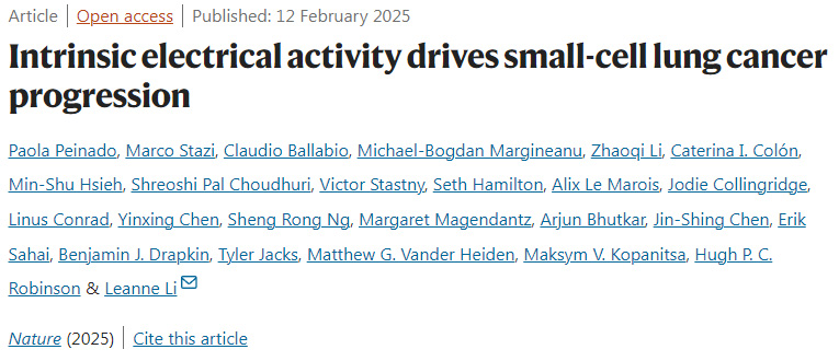 內源性電活動驅動小細胞肺癌進展