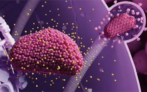 生物醫(yī)藥領(lǐng)跑2024《科學(xué)》十大突破：從艾滋病到CAR-T療法，未來(lái)已來(lái)