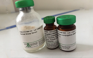 血清選購(gòu)全攻略：教你慧眼識(shí)各類(lèi)優(yōu)質(zhì)血清產(chǎn)品