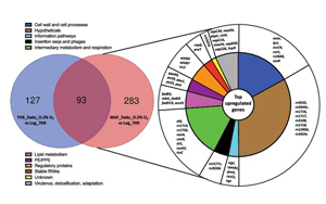 PNAS：萬萬沒想到，結(jié)核桿菌自己提供促進(jìn)空氣傳播的基因
