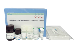 西寶生物隆重推出兩款蛋白酶檢測試劑盒 - 精準(zhǔn)檢測，賦能生物制藥質(zhì)量控制