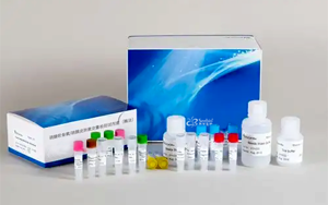新品上市|硫酸軟骨素/硫酸皮膚素定量檢測試劑盒-關(guān)注糖胺聚糖檢測，助力藥品安全與科研創(chuàng)新！