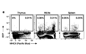 Nature：T細胞也需要“早教”，只要細菌教得好，機體免疫差不了！