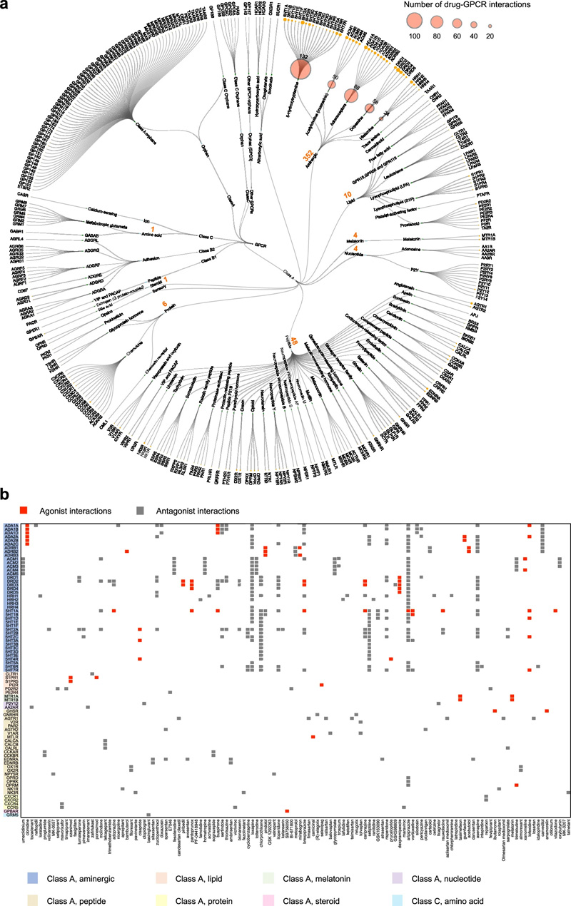 GPCR藥物活動(dòng)圖