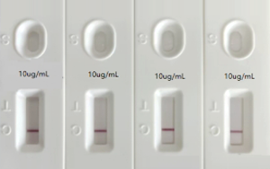 人偏肺病毒（hMPV）抗原檢測(cè)-免疫層析 （膠體金、彩色乳膠及熒光免疫層析）解決方案