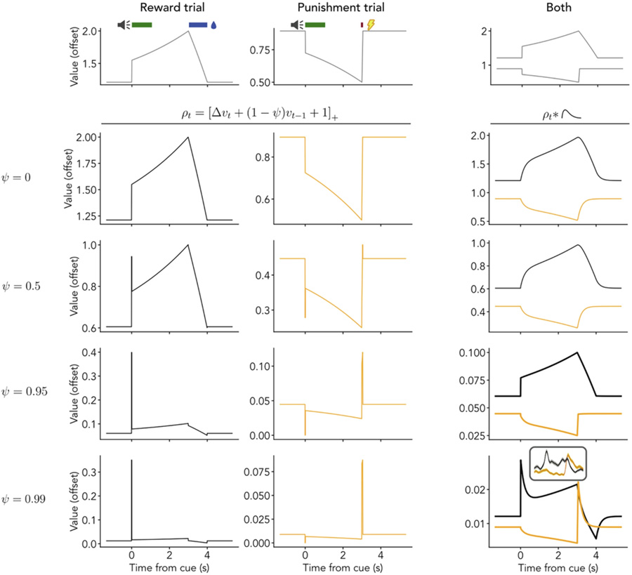 價值前瞻性編碼的簡化模型解釋血清素神經(jīng)元對短期獎賞與懲罰的響應機制