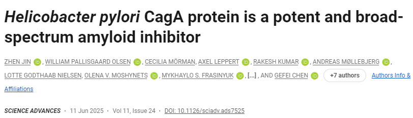 幽門(mén)螺桿菌CagA蛋白是一種強(qiáng)效廣譜淀粉樣蛋白抑制劑