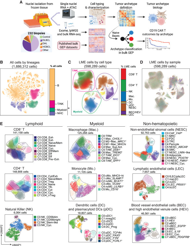  基于單細(xì)胞核多組學(xué)分析的研究設(shè)計與細(xì)胞類型概覽