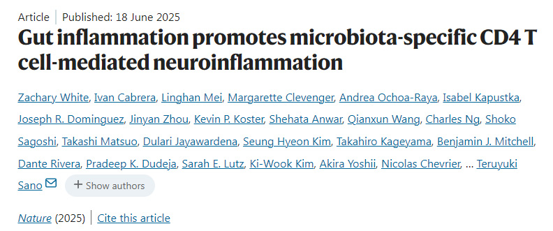 腸道炎癥促進微生物群特異性CD4 T細胞介導(dǎo)的神經(jīng)炎癥