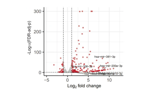 DNA去甲基化通過下調(diào)MNX1基因表達(dá)治療急性髓系白血病的新機(jī)制