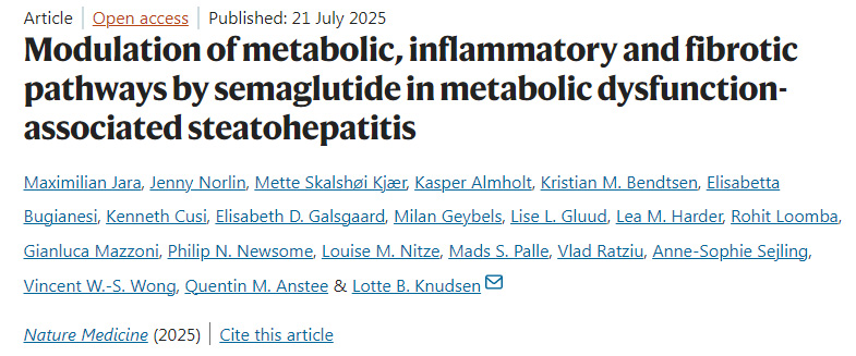 司美格魯肽在代謝功能障礙相關(guān)脂肪性肝炎中對(duì)代謝、炎癥和纖維化通路的調(diào)節(jié)作用