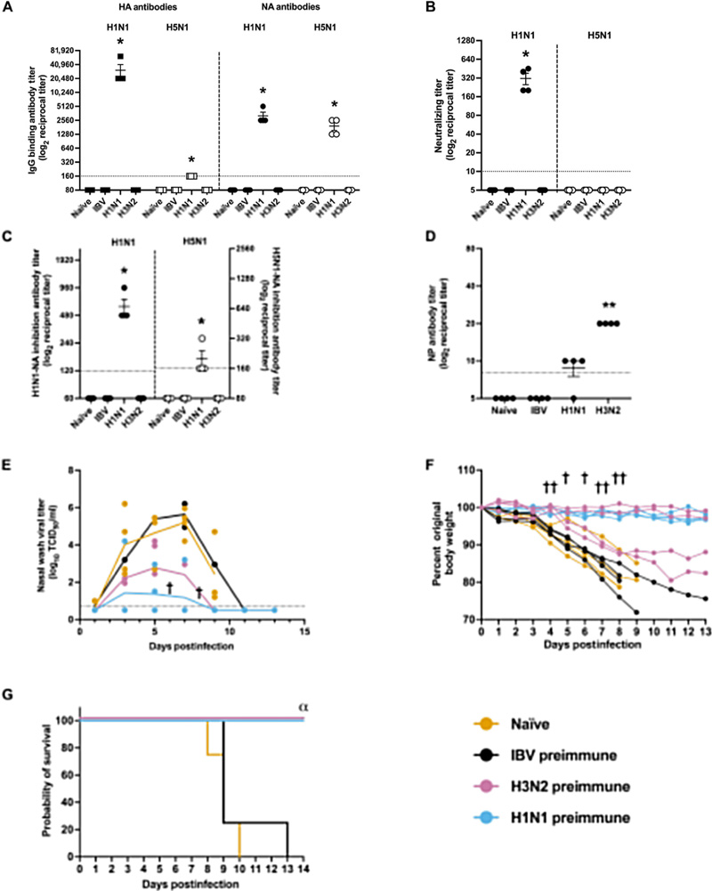 針對(duì)季節(jié)性H3N2病毒或2009年甲型H1N1流感病毒的預(yù)存免疫力，可有效預(yù)防雪貂因甲型水貂流感病毒（H5N1）感染引發(fā)的嚴(yán)重疾病