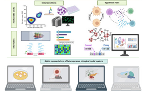 Cell：多年、多實驗室合作，科學(xué)家們成功模擬癌細(xì)胞