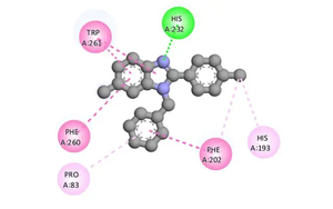 組蛋白去乙?；?通過去乙?；c泛素化修飾ATG3調(diào)控自噬的新機(jī)制
