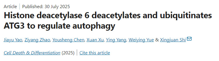 組蛋白去乙?；?通過去乙?；头核鼗揎桝TG3以調(diào)節(jié)自噬作用