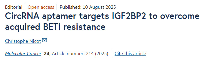 環(huán)狀RNA適配體靶向IGF2BP2以克服獲得性BETi耐藥性