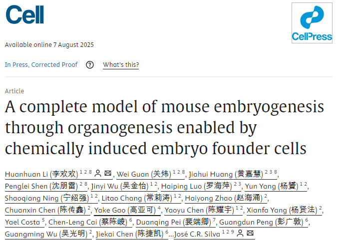 在化學(xué)誘導(dǎo)胚胎祖細(xì)胞支持下實(shí)現(xiàn)的小鼠胚胎發(fā)生至器官發(fā)生全過(guò)程模型