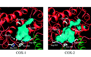 靶向COX-1-PGE2-EP2R軸：阿爾茨海默病神經(jīng)炎癥調(diào)控的新策略與轉(zhuǎn)化前景