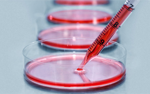 細(xì)胞培養(yǎng)基，撐起生物醫(yī)藥的半壁江山