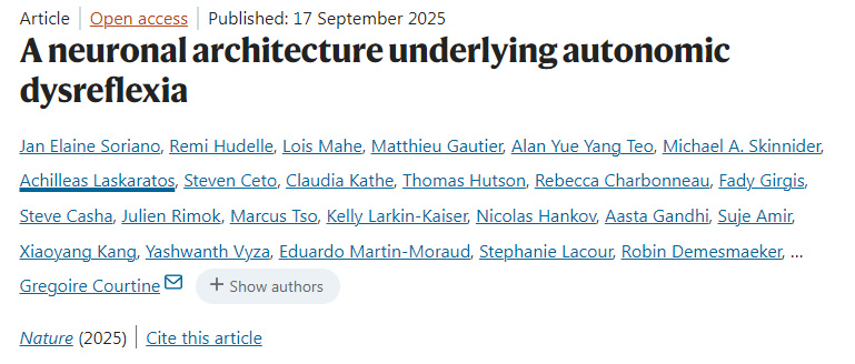 自主神經(jīng)反射異常背后的神經(jīng)元結(jié)構(gòu)