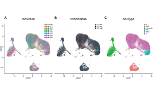 工程化細(xì)胞外囊泡（ILB-202）抑制NF-κB的安全性與抗炎作用：一項雙盲、隨機、安慰劑對照的I期臨床試驗