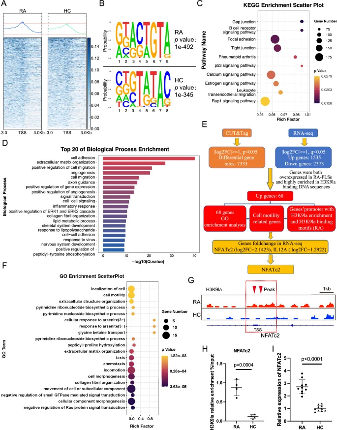 運用CUT&Tag與RNA-seq技術(shù)篩選H3K9乳酸化修飾在類風濕關(guān)節(jié)炎成纖維樣滑膜細胞中調(diào)控的靶基因