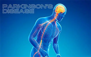 帕金森病多維度病因新視角：細胞色素P450酶系成為發(fā)病機制新關鍵