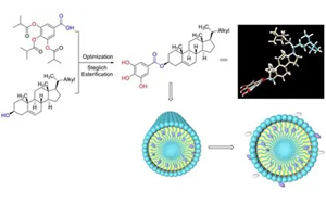 膳食氧化豆甾醇對小鼠膽固醇代謝的調(diào)控作用及其與豆甾醇的差異機制研究