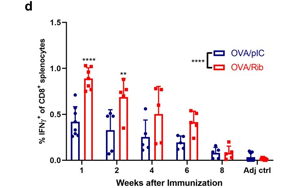 將免疫療法效果提升近3倍！這款進入1期臨床的抗癌疫苗，會是癌癥“終結(jié)者”嗎？