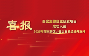 喜報(bào) | 西寶生物“可拉酸”項(xiàng)目成功入圍2025年浦東新區(qū)小微企業(yè)提升能級(jí)項(xiàng)目，喜獲專項(xiàng)支持
