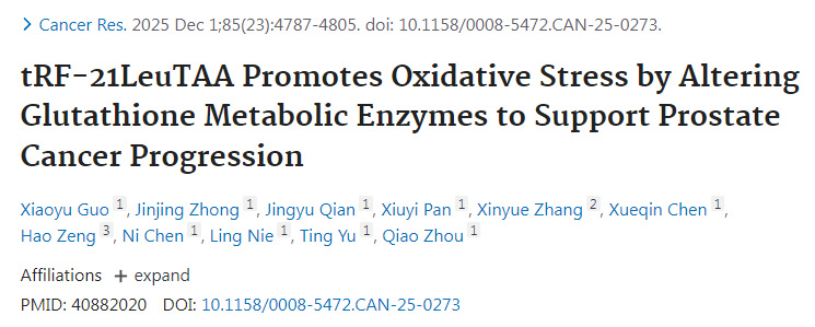 tRF-21LeuTAA通過調(diào)控谷胱甘肽代謝酶促進(jìn)氧化應(yīng)激從而支持前列腺癌進(jìn)展
