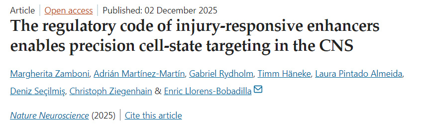 損傷響應(yīng)增強(qiáng)子的調(diào)控規(guī)則使中樞神經(jīng)系統(tǒng)中的精準(zhǔn)細(xì)胞狀態(tài)靶向成為可能