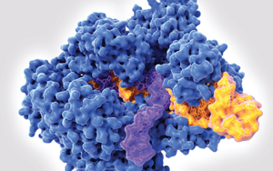 西寶生物生化診斷酶：精準診斷的核心助力