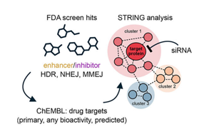 普通藥物可能會(huì)影響CRISPR治療結(jié)果和精確的癌癥治療