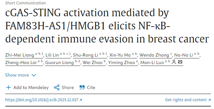 FAM83H-AS1/HMGB1介導(dǎo)的cGAS-STING激活引發(fā)乳腺癌中NF-κB依賴性免疫逃逸 FAM83H-AS1/HMGB1介導(dǎo)的cGAS-STING激活引發(fā)乳腺癌中NF-κB依賴性免疫逃逸