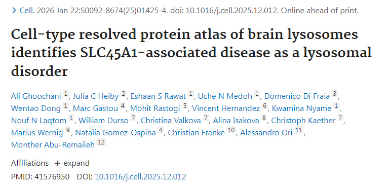 細(xì)胞類型解析的腦溶酶體蛋白質(zhì)圖譜揭示SLC45A1相關(guān)疾病為溶酶體功能異常 細(xì)胞類型解析的腦溶酶體蛋白質(zhì)圖譜揭示SLC45A1相關(guān)疾病為溶酶體功能異常