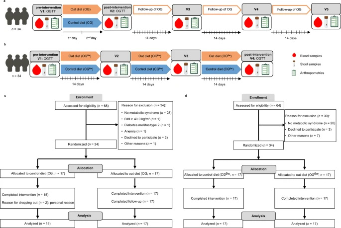 研究方案與受試者流程圖 研究方案與受試者流程圖