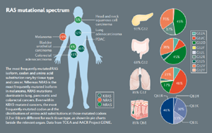 Nature子刊：RAS靶向藥物研發(fā)新進展